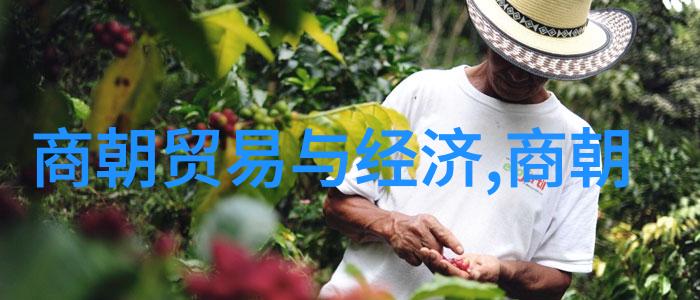 夏朝前三朝的辉煌夏代文明的奠基者