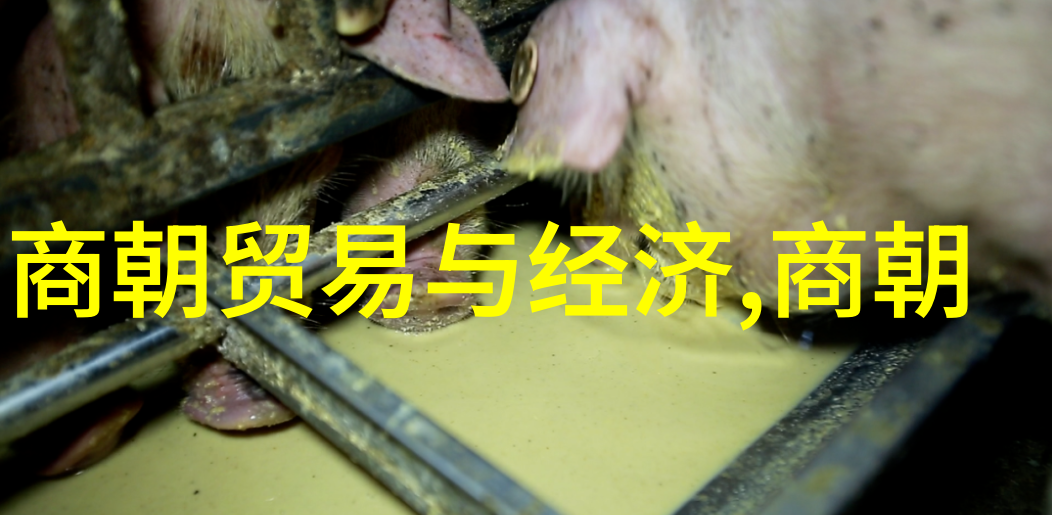 明朝在位最短的帝王是谁-短暂荣耀探秘明朝最短一统的帝王