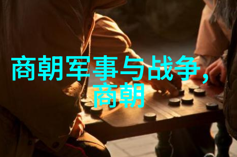 东周列国春秋篇中的芈戎战略之巅公元前262年沉寂之末
