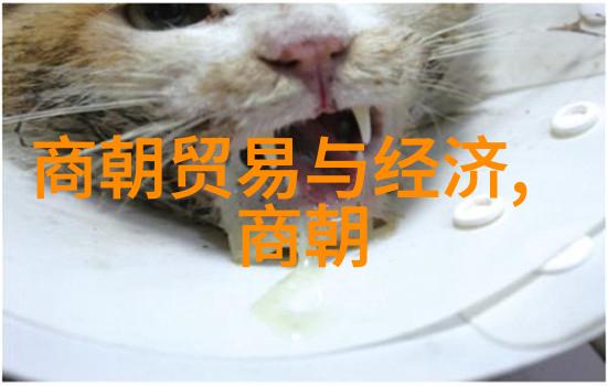 李尤婉云京剧票友探究于魁智家社会风波
