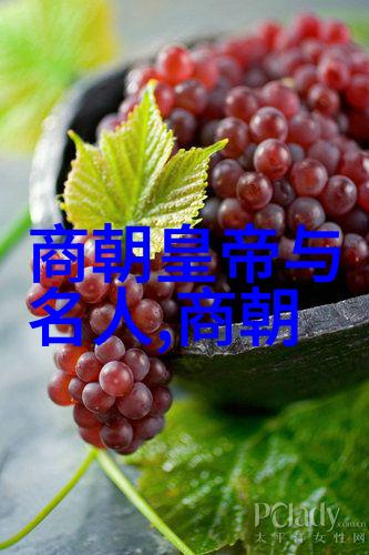 朱允文妻子结局悲欢交织的生活篇章