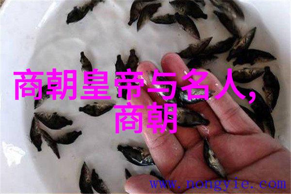 上海名人历史人物曾仕强的传奇足迹