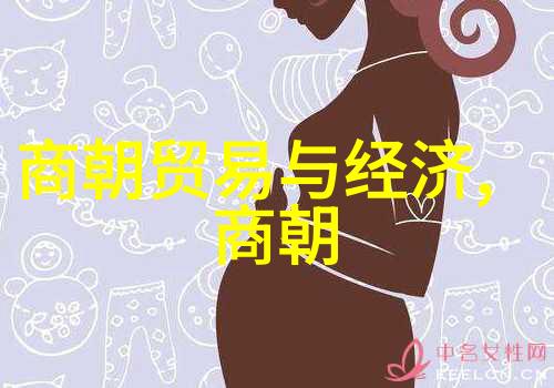 完颜宗弼辽国英雄与金世变的策略家