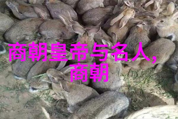 宋代的经济兴盛与社会变迁