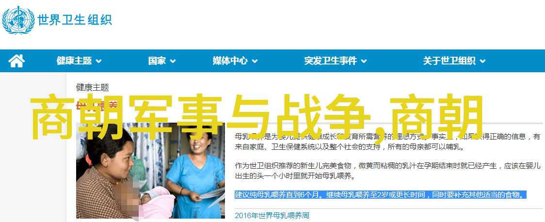 南宋覆灭后的历史篇章元朝的兴起与发展