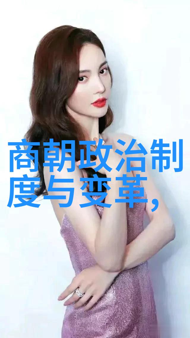 宋朝之光揭秘专家们为何热爱的历史篇章