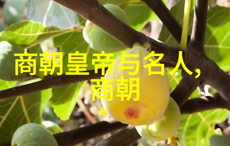 明朝盛世与衰落的历史探索