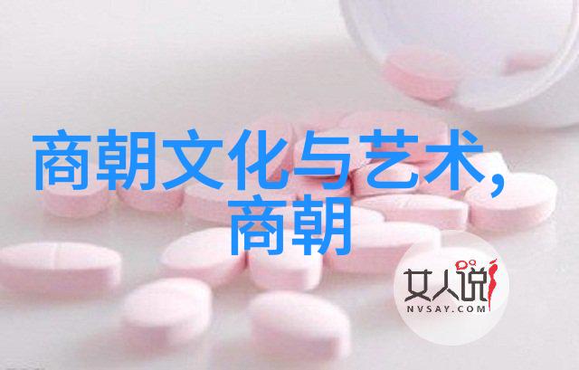 历史故事-土木堡之变宫女的哀画与时光的沉默