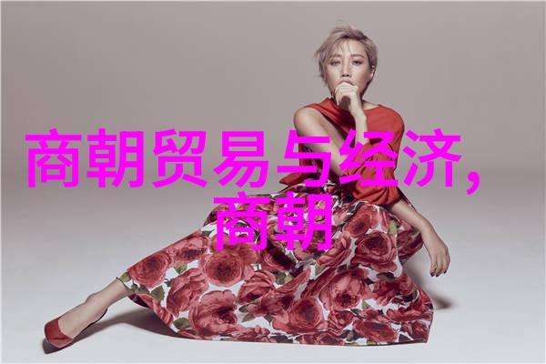 穿越时空的历史纵横中国近代史小故事书籍探秘