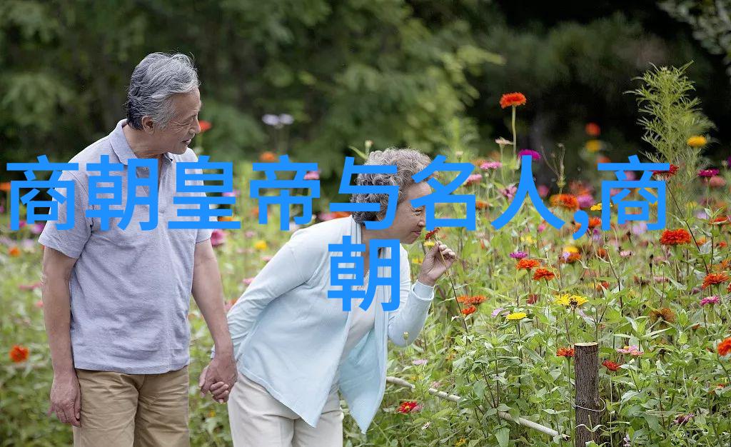 中华上下五千年元朝故事简介我亲眼见证的元朝奇迹从忽必烈到朱元璋
