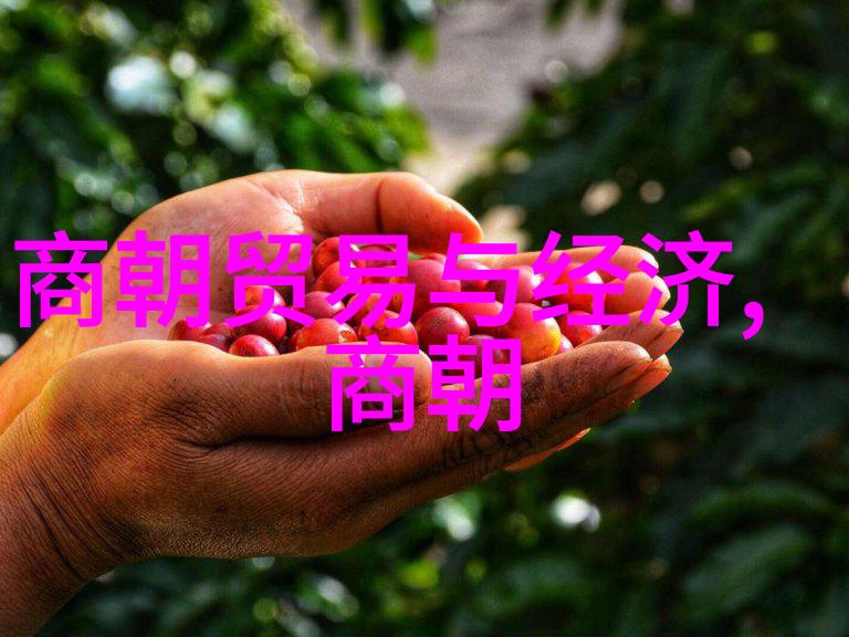 朱棣夺取皇位后实施了哪些政治改革措施这些措施有效吗