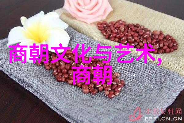 土木堡之战历史剧反映明清边界的军事冲突