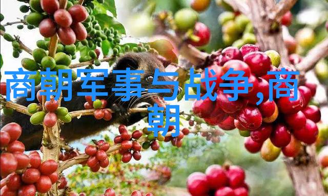 漠北战役的结局如何汉朝在漠北战事中遭受了多少损失来做我女朋友吧共同探讨这段历史的奥秘