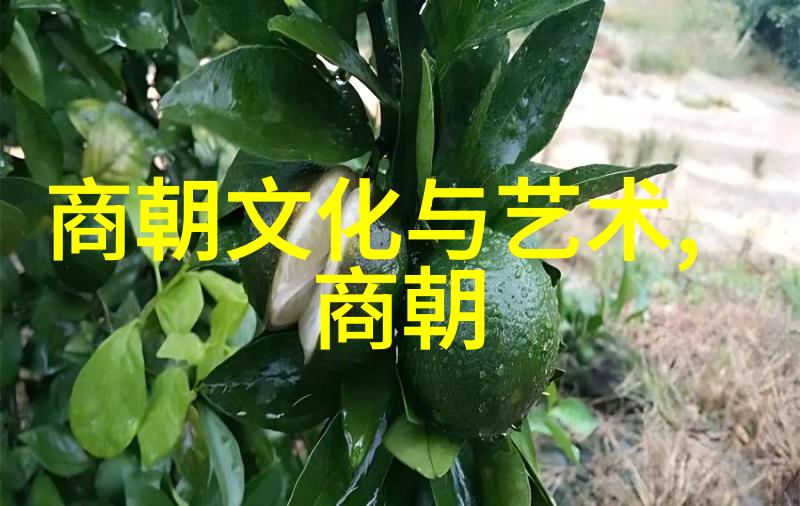 明朝灭亡前一年诡异之事-龙凤呈祥又一绝响明末风云录