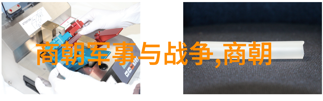 奇闻录-明朝的怪事儿龙椅之变鬼谷先生与凤姐