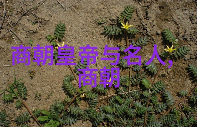 乾隆的儿子背后的秘密究竟是什么