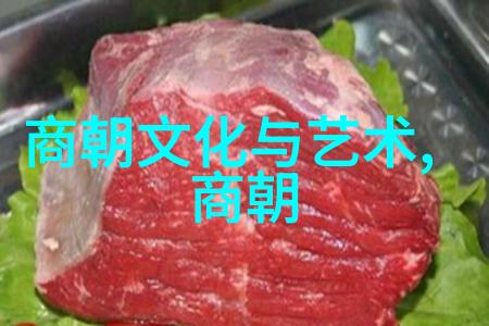 古代先进文明的探秘三大朝代的辉煌篇章