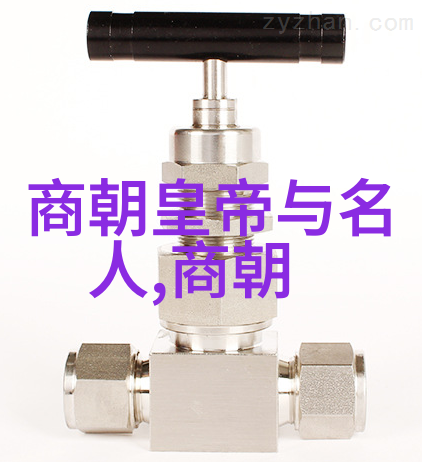 碧血黄沙元朝辽的荒漠之光