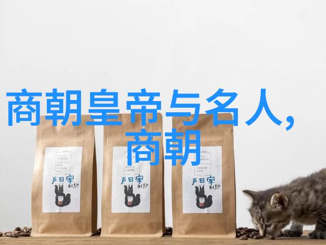 明朝人物列表及简介我来给你讲讲那些光怪陆离的明朝大佬们吧
