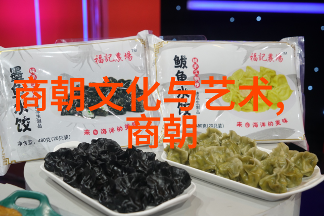 南明朝历代帝王简历 - 梦断江南南明帝王的悲壮史诗
