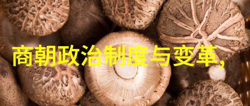 明朱允炆伐燕檄文的历史价值与艺术魅力探究