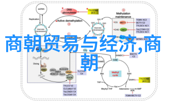 探索历史长河中的永恒纪元揭秘最持久的朝代之谜