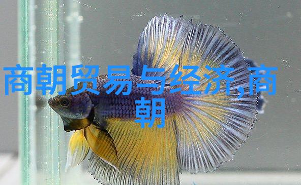 土木堡惨败探究蒙古帝国疆土的沉重代价