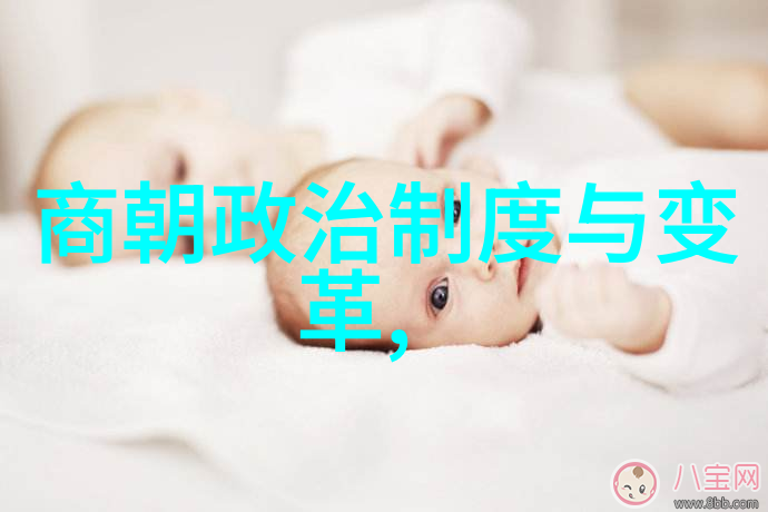 博果尔的娘是谁比孝庄尊贵 - 卿本佳人何须探寻解读博果尔之母与孝庄皇后的比较