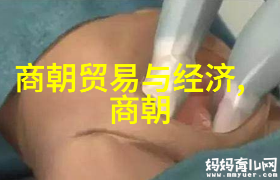 明朝历史地图探究揭秘古都兴衰变迁