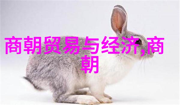 明朝时期将领军功排序标准是什么又该如何评判