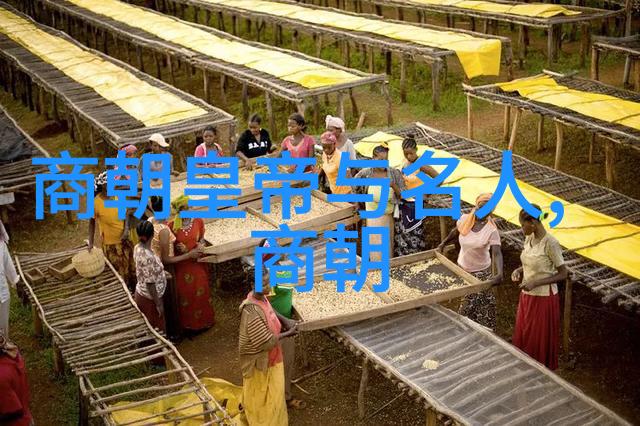 明朝那些事儿听书免费王更新揭秘那些年明朝的奇闻趣事你也可以从我这听书系统免费获得