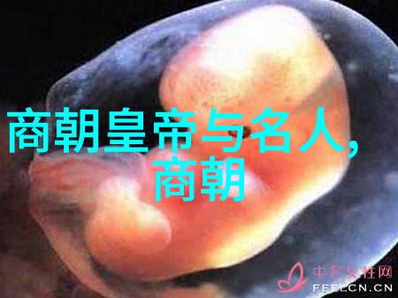 明朝的怪事儿龙凤呈祥的梦中婚礼