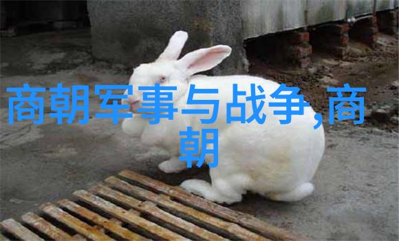 现代京剧经典曲目胡颖欣舞台上的京韵魅力