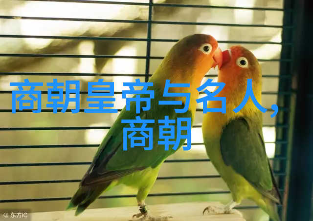 历史的遗憾一个时代的延续与价值的探索