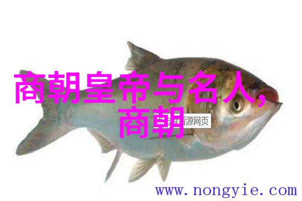 唐朝诡事录免费观看电视剧唐太宗史上第二位皇帝其治世宽仁民间称之为贤主