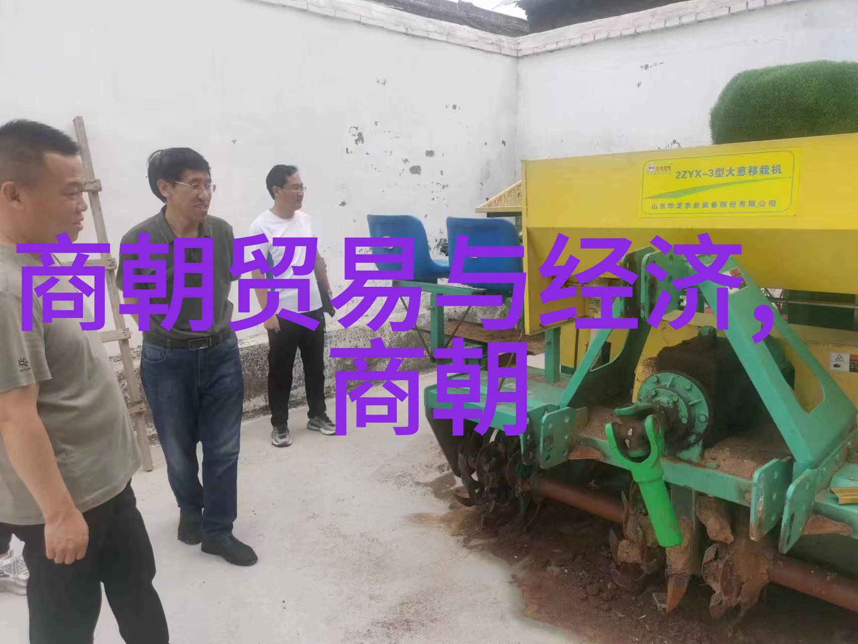 明英宗从英字到宗位的奇幻征程