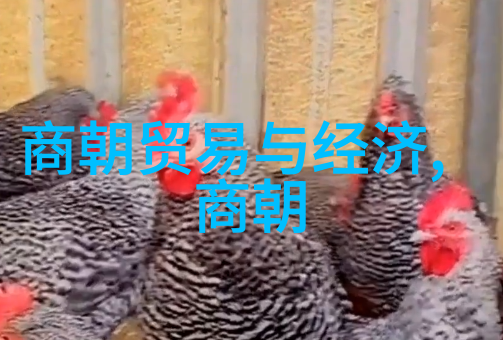 忘忧草韩国日本电影的传说与现实