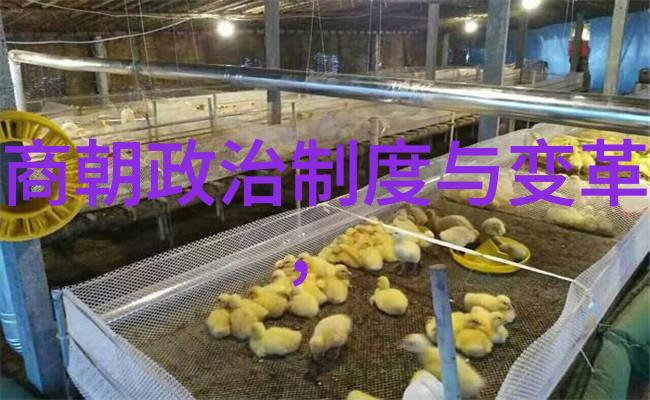从宋朝到宋城北宋南下历史笑话连连