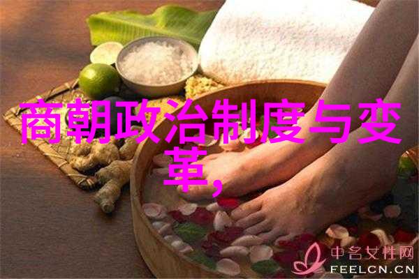 中国历史的长河探索朝代变迁的完整珍藏