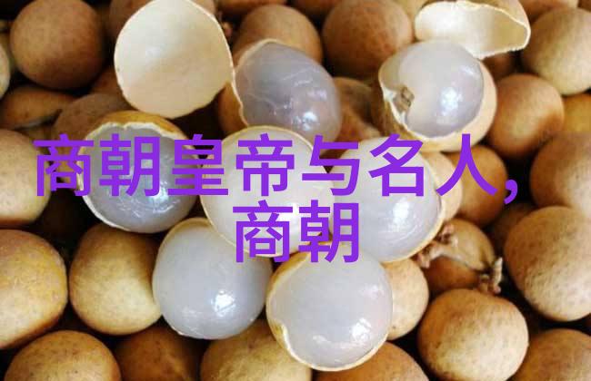 明朝的命名及其历史意义探究