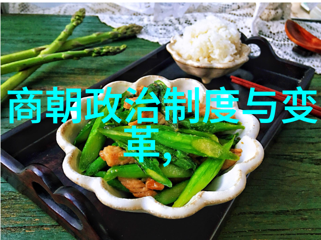 大清朝政治序列考察从康熙至道光的制度演变与实践应用