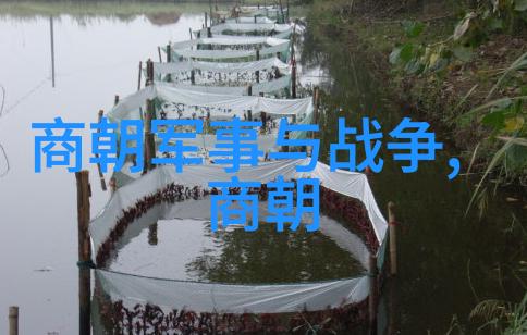 明朝两个阶段的我眼中的风云变换从朱元璋到崇祯的转折点