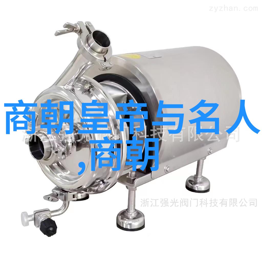 元代经济发展及其对中国历史的贡献
