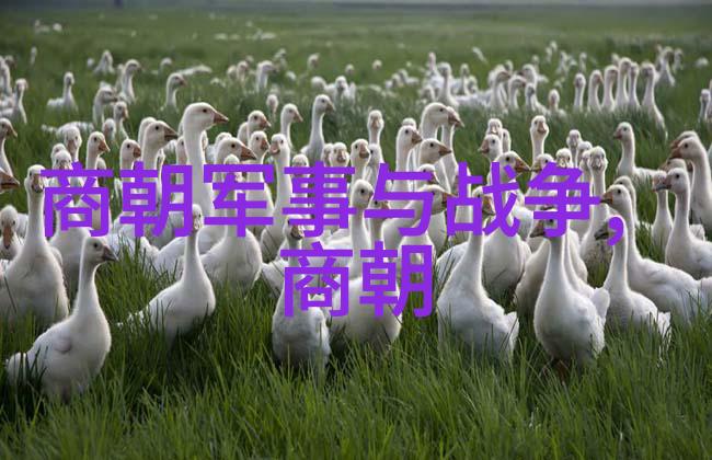 赵武侯前行历史长河缓缓流