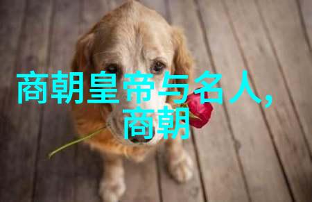 明朝那些事未删减版下载揭秘历史真相的全真版TXT文本