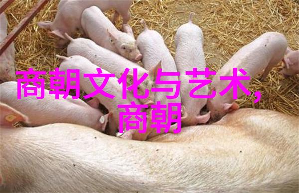 世界上最恐怖的朝代-黑暗的统治揭秘历史上最凶残的帝王