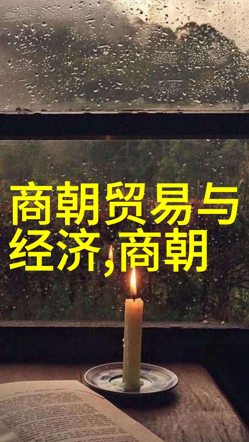 明朝中后期经济社会的衰败原因分析
