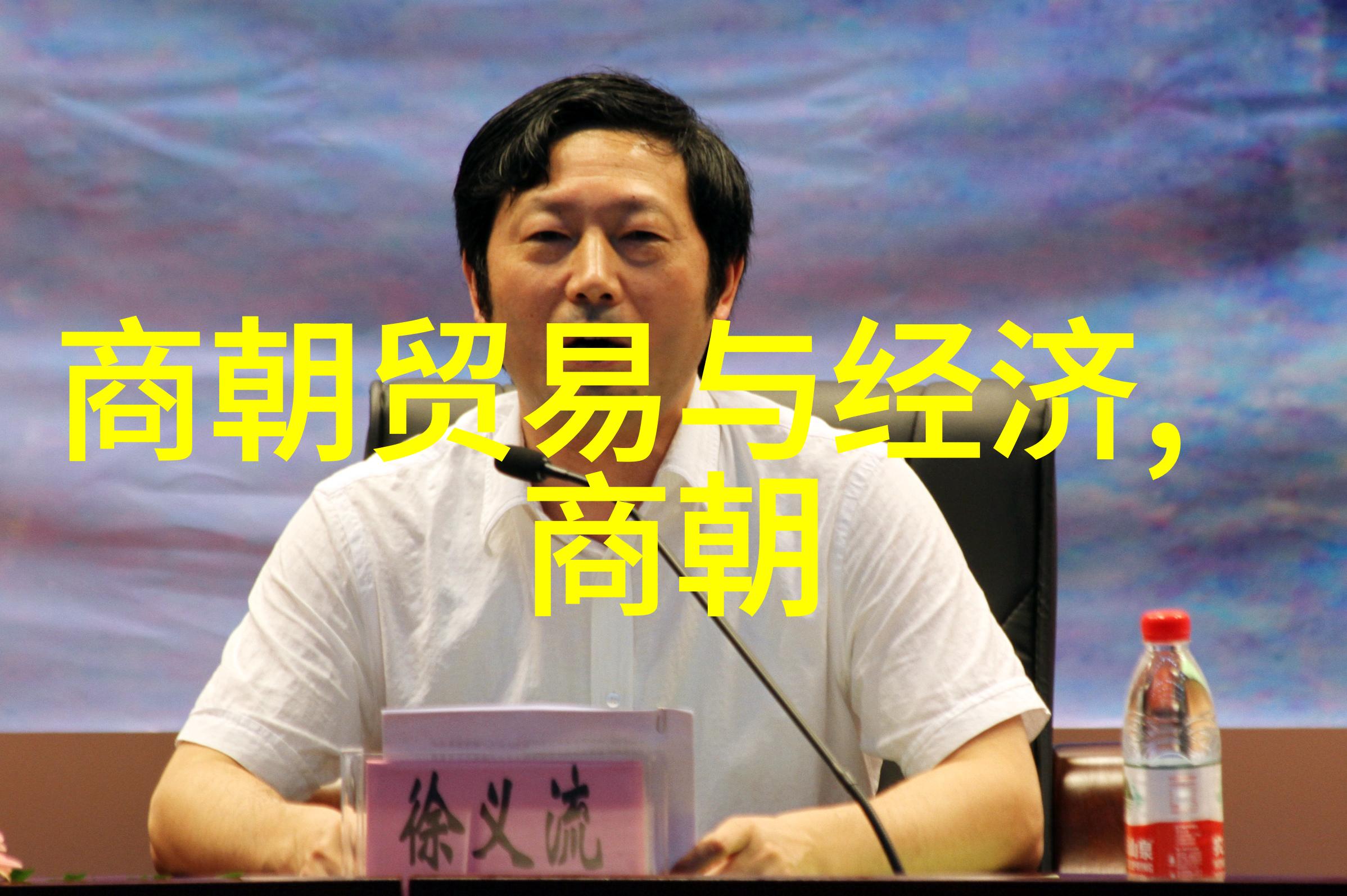 宋朝十八帝之谜历史的隐秘与权力的交错