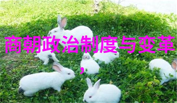 龙脉纪元明朝帝王年华序