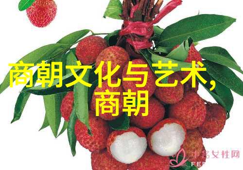 穿越时空的长河探索中国几千年的历史奥秘